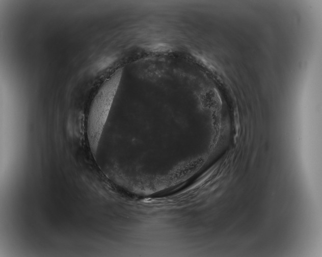 X0000085221301200703091151
