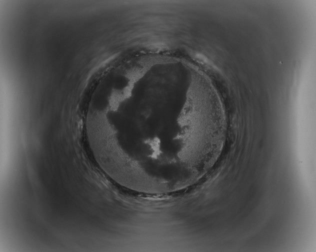 X0000085221302200703091151