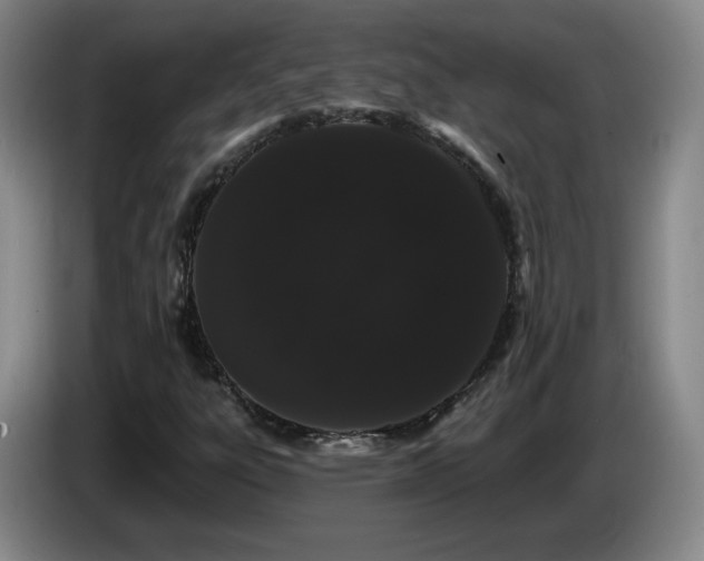 X0000085221303200703091151