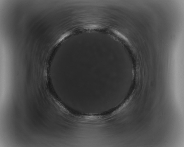 X0000085221305200703091151