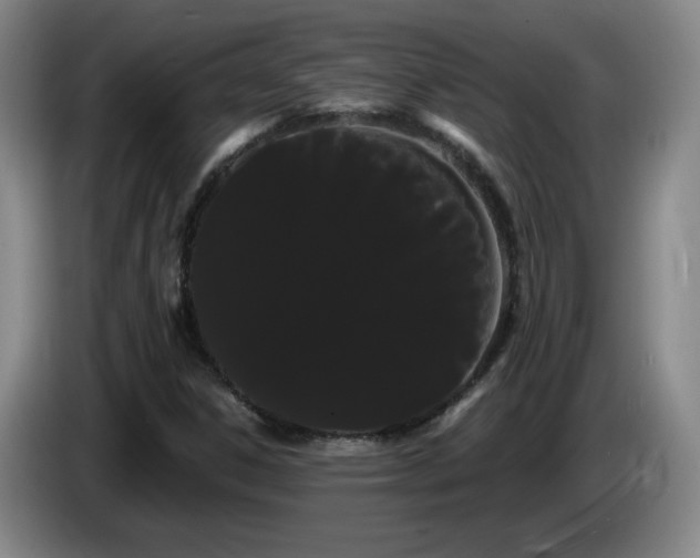 X0000085221306200703091151