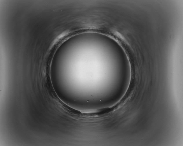 X0000085221307200703091151