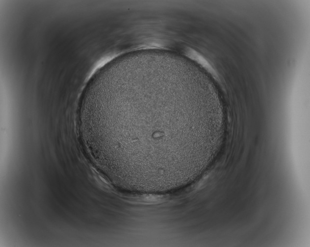 X0000085221308200703091151
