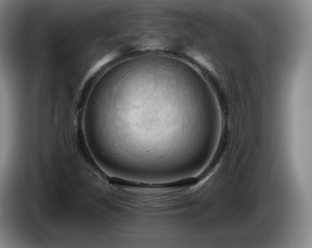 X0000085221309200703091151