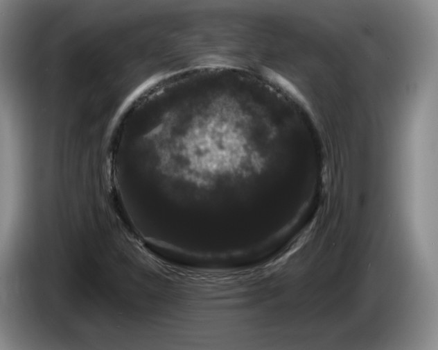 X0000085221310200703091151