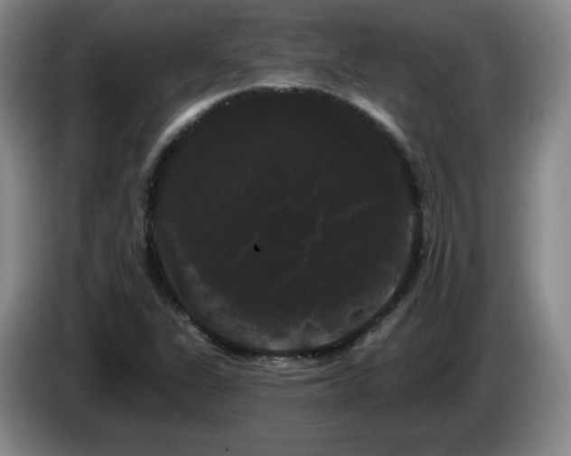 X0000085221311200703091151