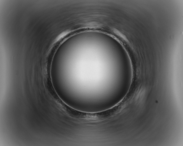 X0000085221315200703091151