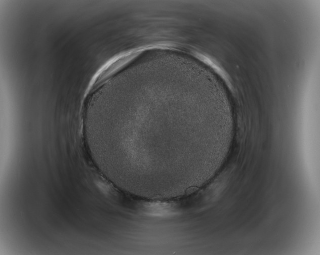 X0000085221316200703091151
