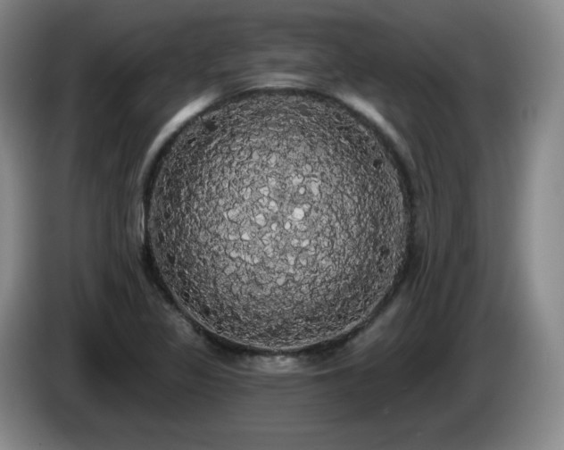 X0000085221317200703091151