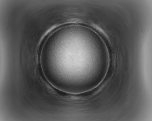 X0000085221318200703091151
