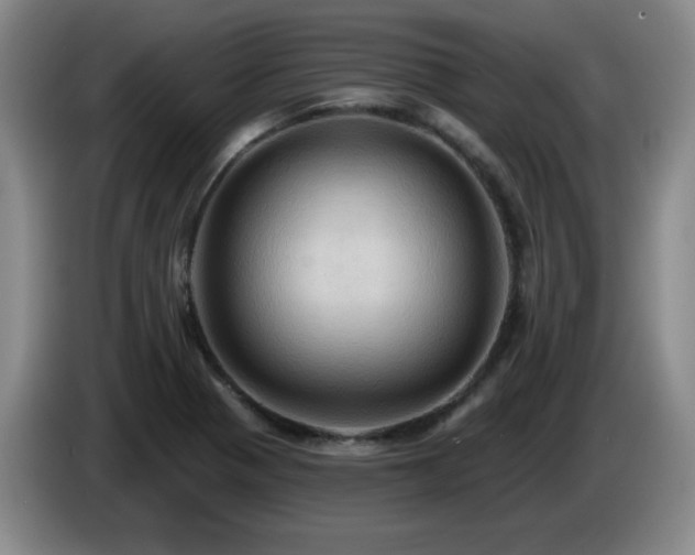 X0000085221321200703091151