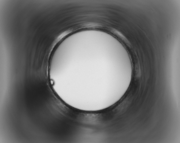X0000085221322200703091151
