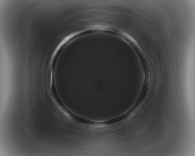 X0000085221323200703091151