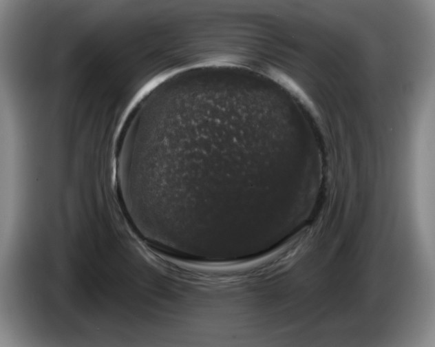 X0000085221324200703091151