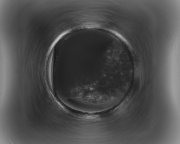 X0000085221325200703091151