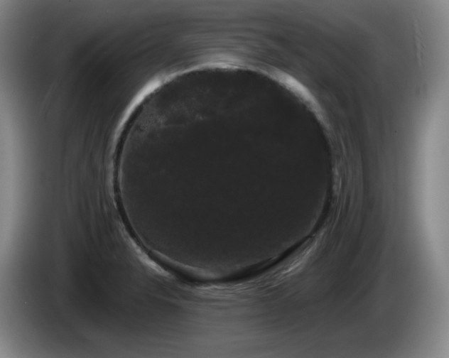 X0000085221326200703091151