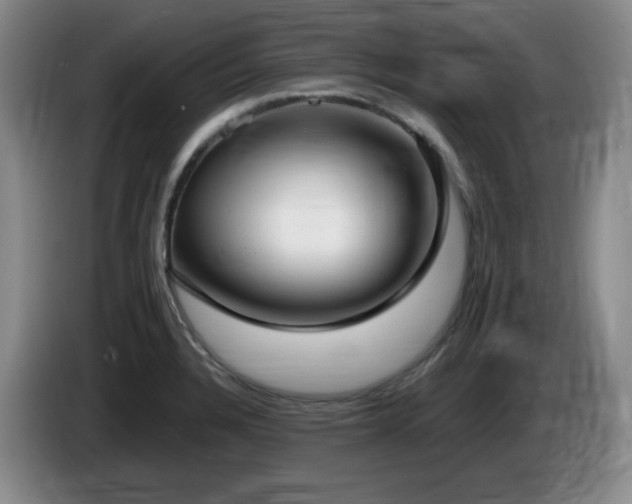 X0000085221328200703091151