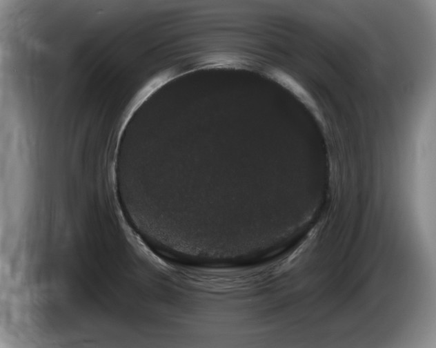 X0000085221330200703091151
