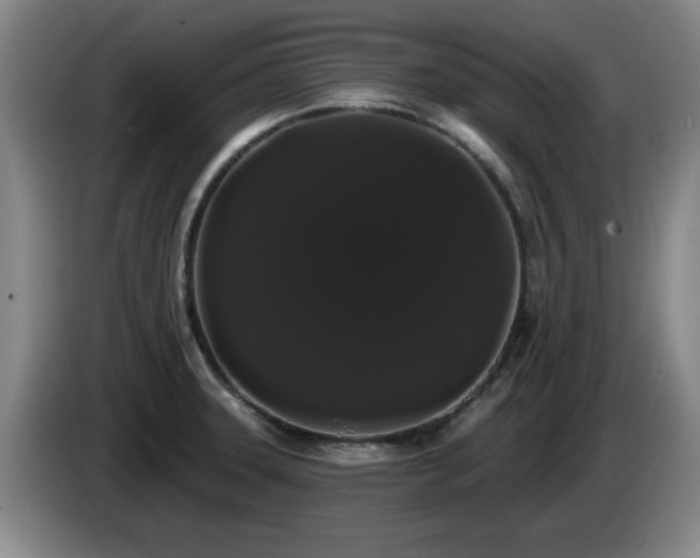 X0000085221331200703091151