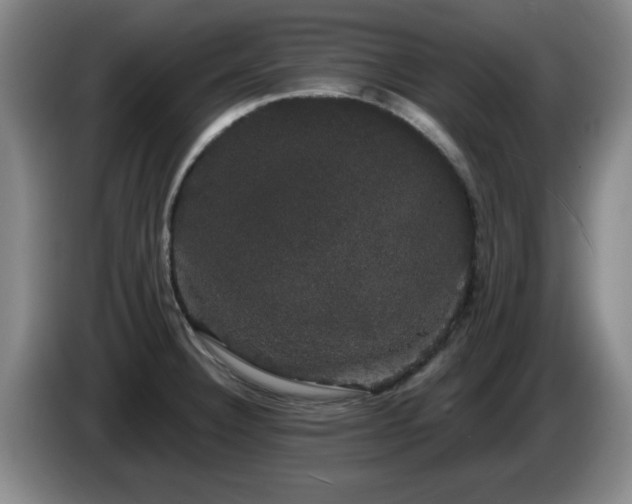 X0000085221332200703091151
