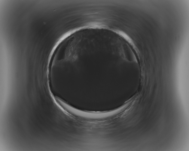 X0000085221335200703091152