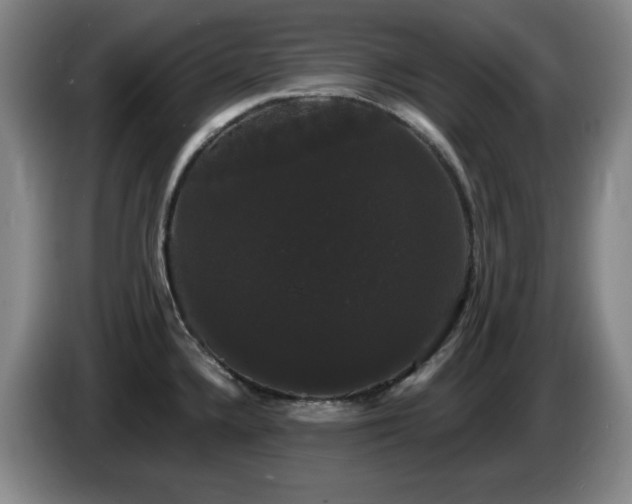 X0000085221336200703091152