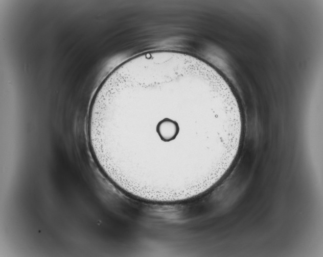 X0000085221338200703091152