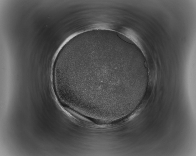 X0000085221339200703091152