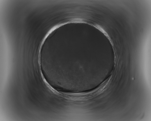 X0000085221342200703091152