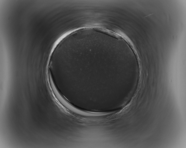 X0000085221344200703091152