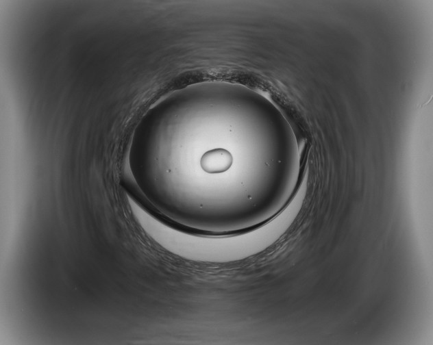 X0000085221345200703091151