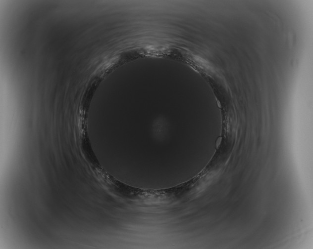 X0000085221346200703091151