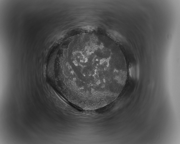 X0000085221347200703091151
