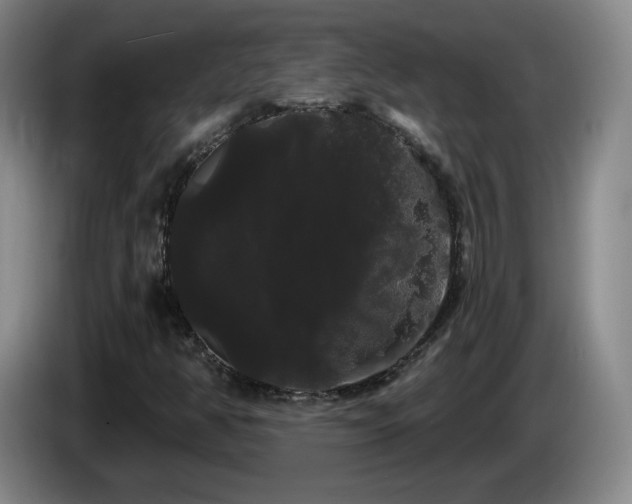 X0000085221350200703091151
