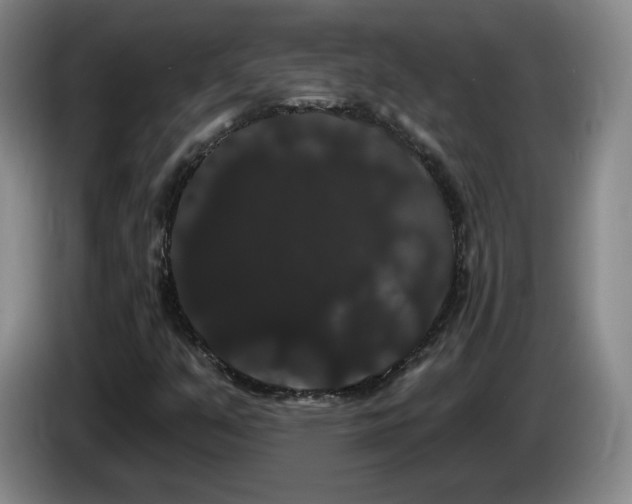 X0000085221351200703091151