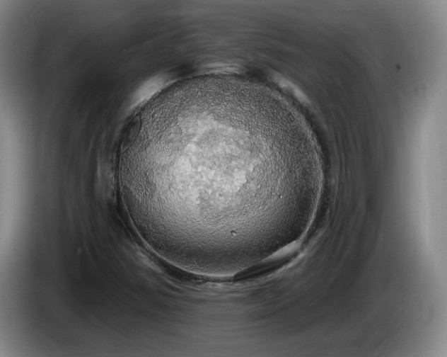 X0000085221354200703091151