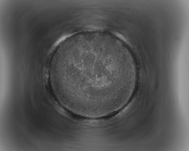 X0000085221355200703091151