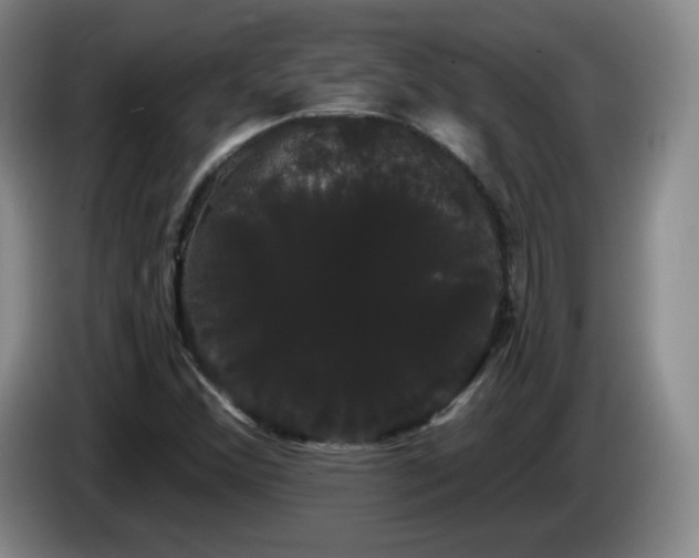 X0000085221356200703091151