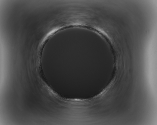 X0000085221359200703091151