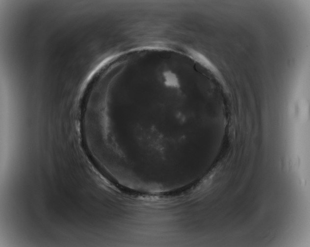 X0000085221360200703091151