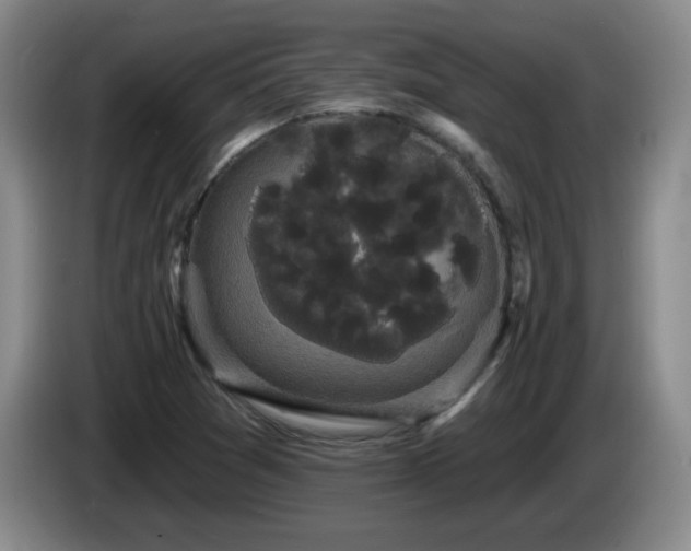 X0000085221361200703091151