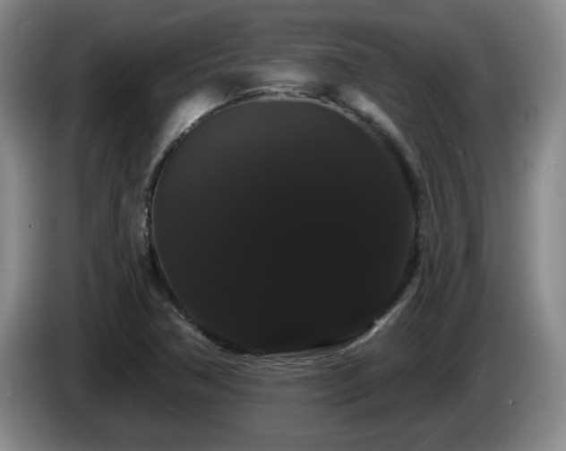 X0000085221362200703091151