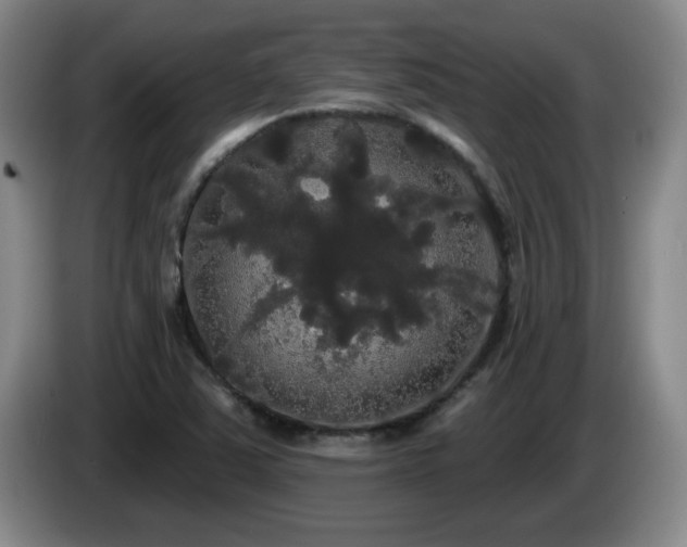 X0000085221363200703091151