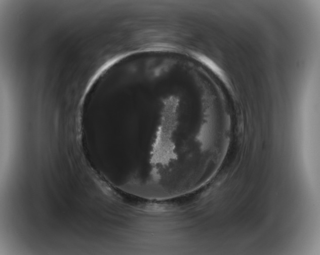 X0000085221364200703091151