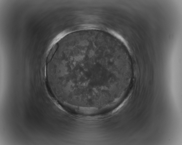 X0000085221365200703091151