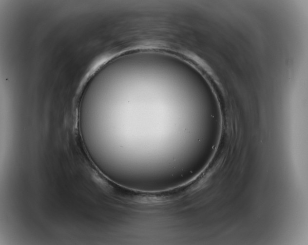 X0000085221366200703091151
