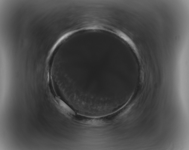 X0000085221368200703091151