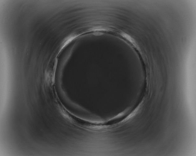 X0000085221369200703091151