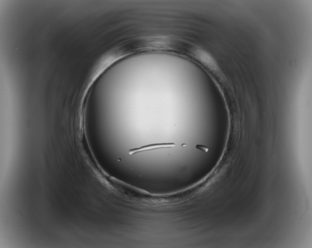 X0000085221370200703091151