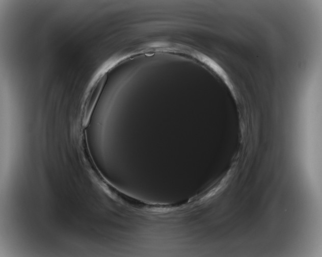 X0000085221373200703091151